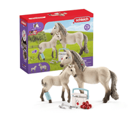 Schleich 42430 Horse Club Hannahs Erste-Hilfe-Set